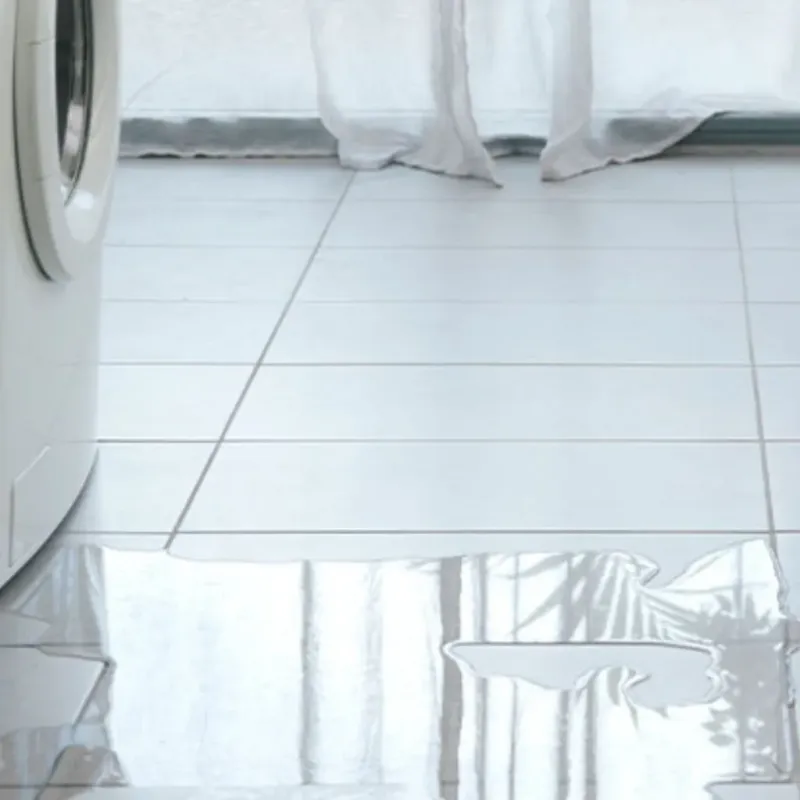 Appliance Leak Cleanup in Allouez, WI