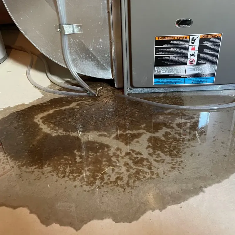 Pipe Burst and Leak Restoration in Allouez, WI